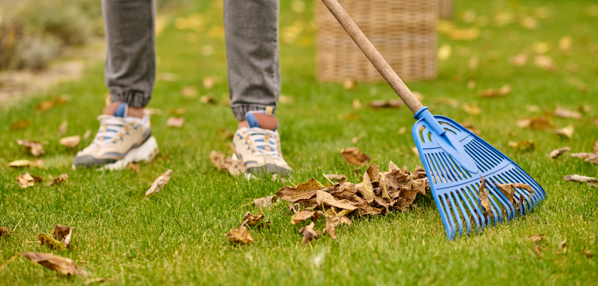 Outdoor Maintenance with Rake